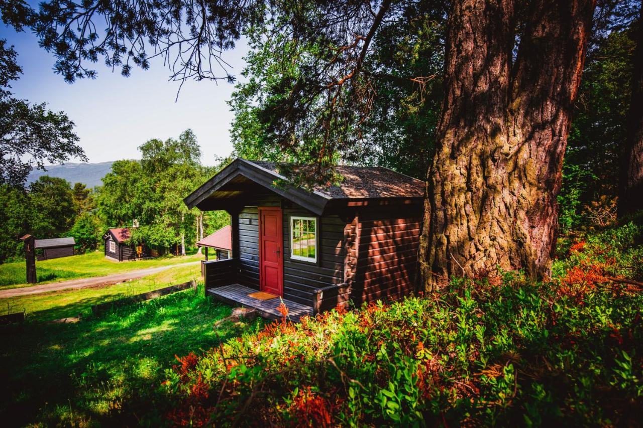 Ljoshaugen Camping 돔바스 외부 사진
