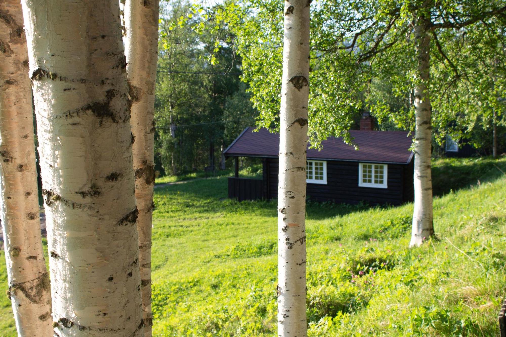 Ljoshaugen Camping 돔바스 외부 사진